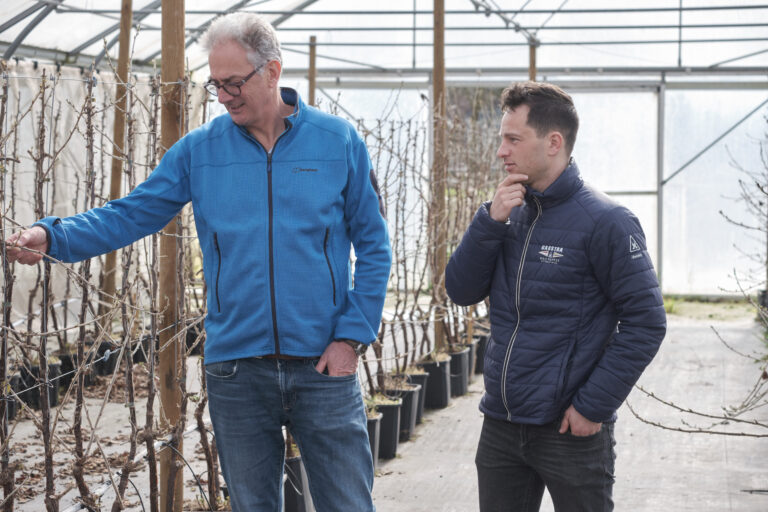 Jan Peeters - Johan Sonneveld